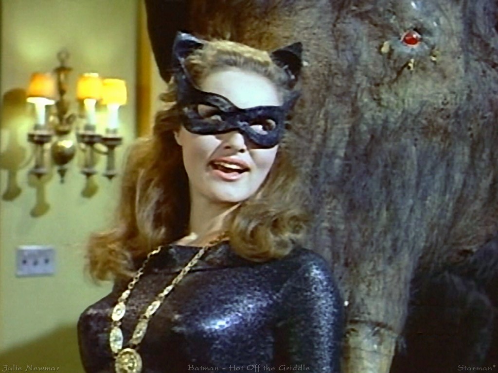No, Let us Not Discuss my Catwoman Obsession